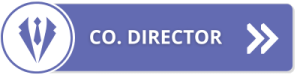 How to Claim Tax back on Pension Contributions in Ireland? 4 Co. Diector Case Study